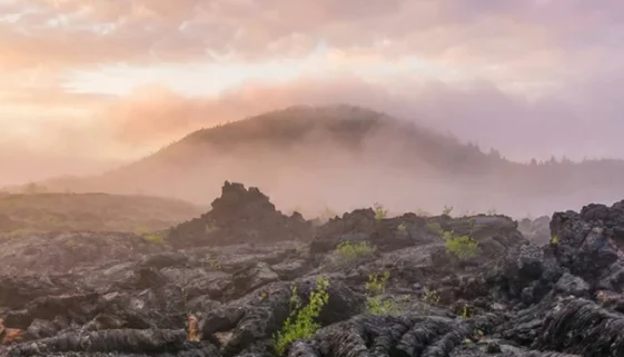 Craters of the Moon National Monument offers a stark, volcanic environment that defies the typical expectations of a national park. While visitors often anti...