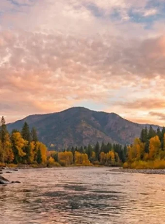 rainbow trout rising to your fly, and steelhead making heart-stopping runs that test every bit of your tackle. Fly fishing the Trinity River in California delivers.