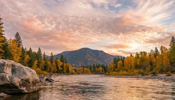 rainbow trout rising to your fly, and steelhead making heart-stopping runs that test every bit of your tackle. Fly fishing the Trinity River in California delivers.