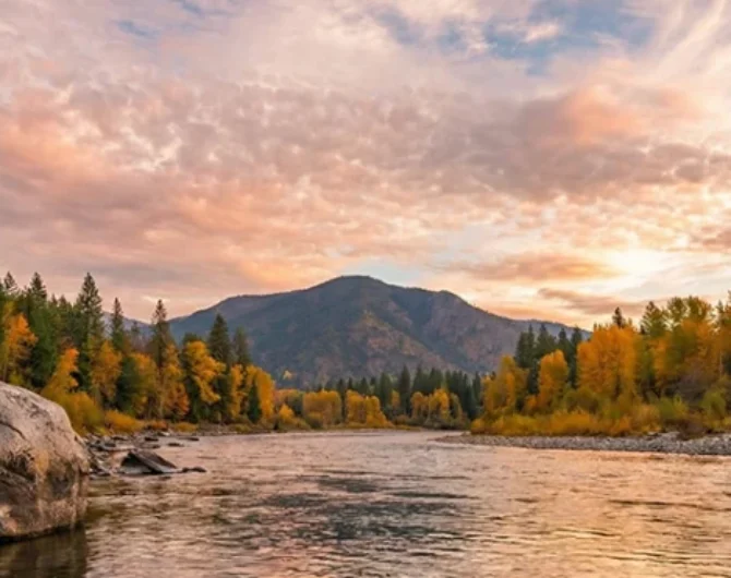 rainbow trout rising to your fly, and steelhead making heart-stopping runs that test every bit of your tackle. Fly fishing the Trinity River in California delivers.
