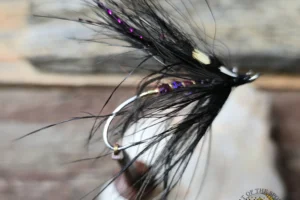 Gary Cooper Spey fly pattern.