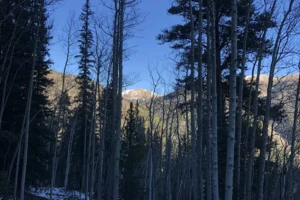 Grizzly-Lake_San-Isabel-National-Forest_4. 3 Grizzly-Lake_San-Isabel-National-Forest_4. 3