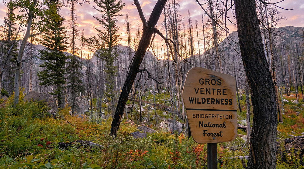 Gros Ventre Wilderness Trailhead.