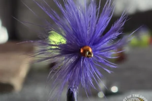 Hot Purple Bugger 2. 3 Hot Purple Bugger 2. 3