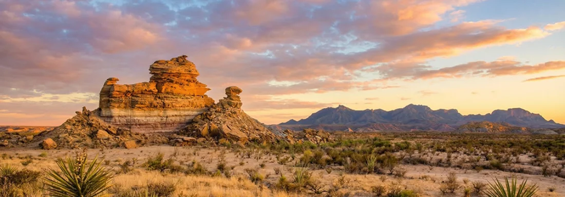 Plan your trip to Big Bend National Park with this detailed guide on hiking, camping, seasons, lodging, and quiet desert adventure.