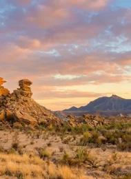 Plan your trip to Big Bend National Park with this detailed guide on hiking, camping, seasons, lodging, and quiet desert adventure.