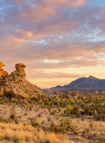 Plan your trip to Big Bend National Park with this detailed guide on hiking, camping, seasons, lodging, and quiet desert adventure.