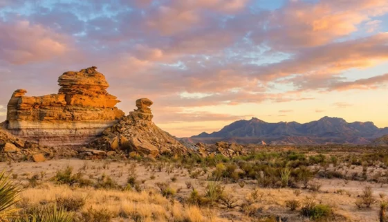 Plan your trip to Big Bend National Park with this detailed guide on hiking, camping, seasons, lodging, and quiet desert adventure.