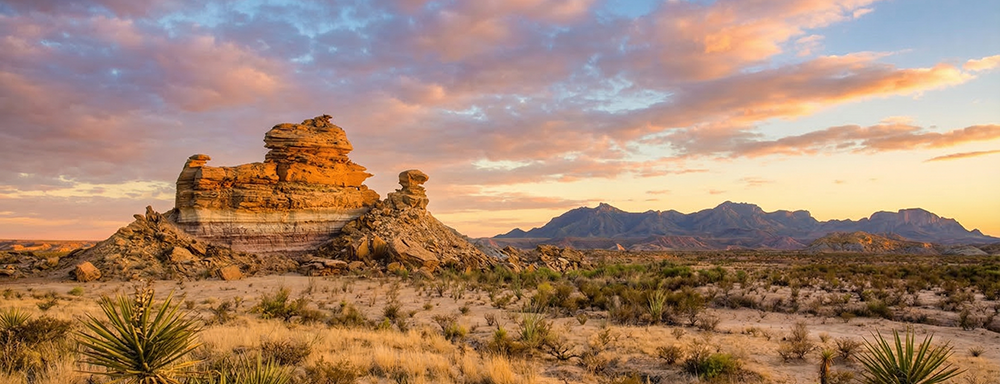 Plan your trip to Big Bend National Park with this detailed guide on hiking, camping, seasons, lodging, and quiet desert adventure.
