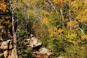 Hike Mills Lake 23. 3 Hike Mills Lake 23. 3