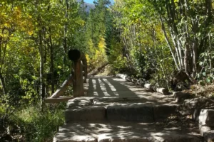 Mills Lake Hike 10 .3