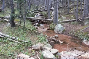 Pikes Peak Hike Crags Trailhead 2. 3