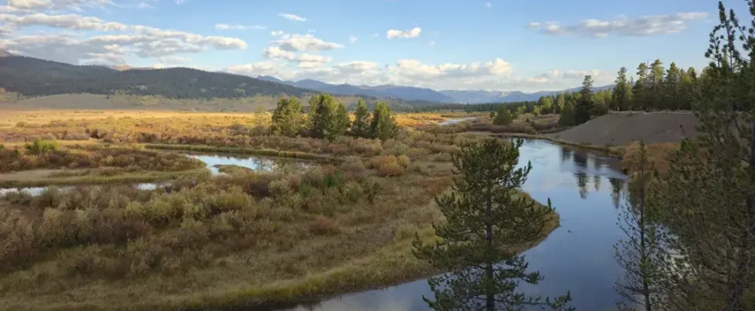 Fly fishing South Fork Madison River, where you can escape the massive crowds entirely and rediscover the fundamental joys of the sport.