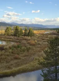 Fly fishing South Fork Madison River, where you can escape the massive crowds entirely and rediscover the fundamental joys of the sport.