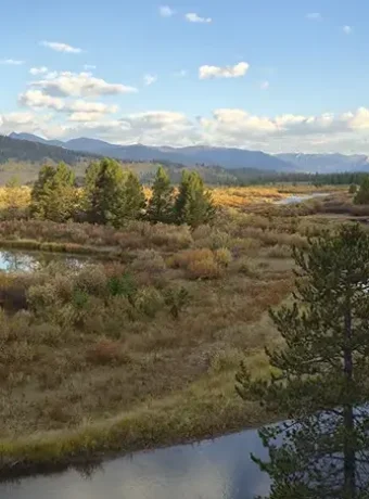 Fly fishing South Fork Madison River, where you can escape the massive crowds entirely and rediscover the fundamental joys of the sport.