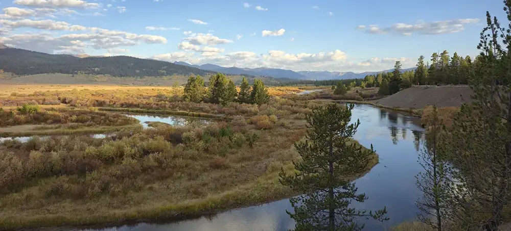 Fly fishing South Fork Madison River, where you can escape the massive crowds entirely and rediscover the fundamental joys of the sport.