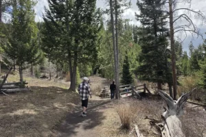 Wraith Falls Yellowstone 2. 3