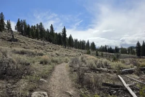 Wraith Falls Yellowstone National Park, Get Lost in America.