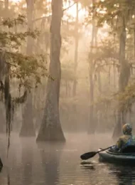 The definitive guide to kayaking, hiking, camping, and photography in Virginia's Great Dismal Swamp. History, trails, paddling routes, campgrounds, best seasons, wildlife, and insider tips — all in one place.