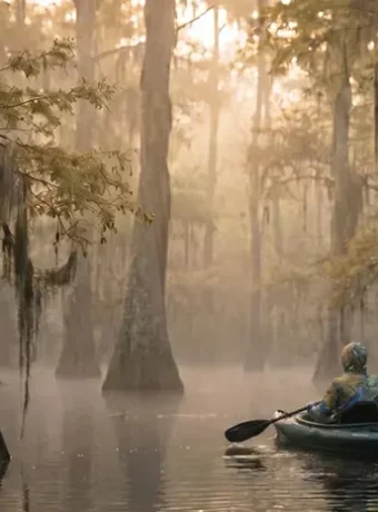 The definitive guide to kayaking, hiking, camping, and photography in Virginia's Great Dismal Swamp. History, trails, paddling routes, campgrounds, best seasons, wildlife, and insider tips — all in one place.
