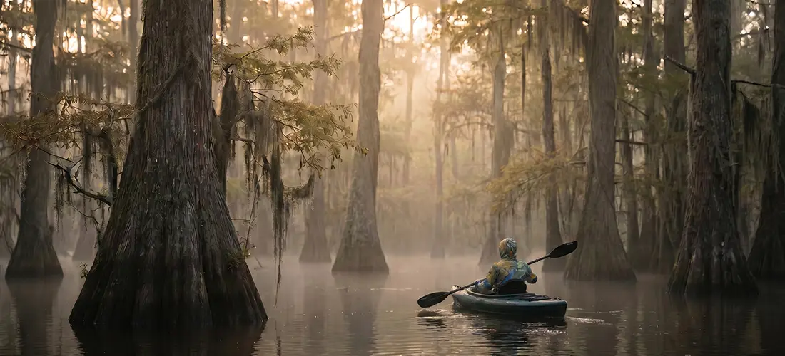 The definitive guide to kayaking, hiking, camping, and photography in Virginia's Great Dismal Swamp. History, trails, paddling routes, campgrounds, best seasons, wildlife, and insider tips — all in one place.