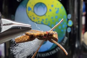 Firebelly Hopper 1. 3 Firebelly Hopper 1. 3